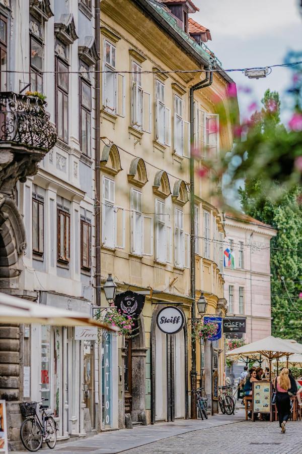 Ab Ljubljana - The Princess Castle Triplex 외부 사진